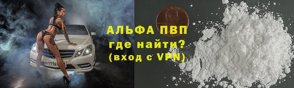 гашик Аркадак