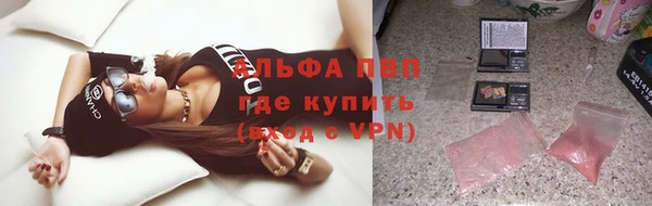 гашик Аркадак