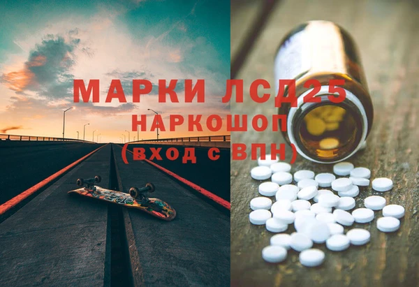 гашик Аркадак