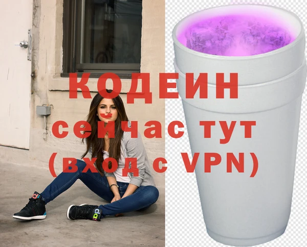 гашик Аркадак