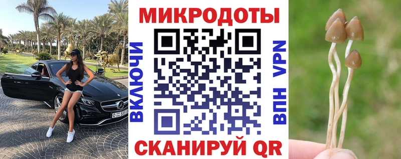 Псилоцибиновые грибы мухоморы  Белокуриха 